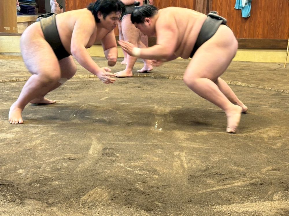 Training bout in the dohyo